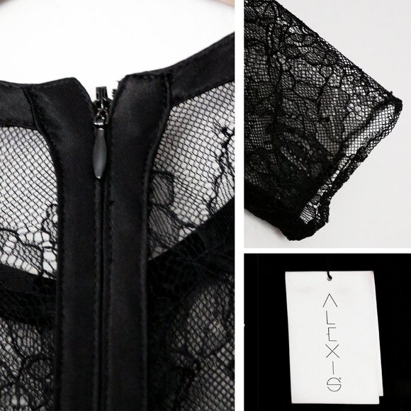 NEW Alexis Adal Dress S Black Sheer Lace Dark Romantic Whimsigoth Fairy $715 - Picture 14 of 16